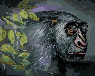 Produktbild von Zuty - Malen nach Zahlen - AFFE, 40x50 cm, ohne Keilrahmen