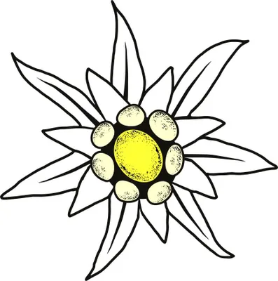 Produktbild von Hermann Schütz Aufkleber Edelweis 80x80mm
