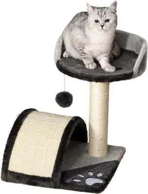 Produktbild von Pawhut PawHut Kratzbaum mit Spielbällen Katzenkratzbaum Kratzbaum Sisal Seil D30-033-1