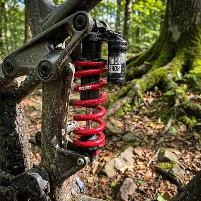 Produktbild von RockShox Feder für metrische Dämpfer rot 400LB 174mm 67,5-75mm