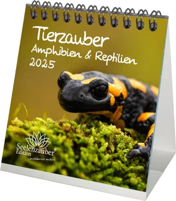 Produktbild von Tierzauber Amphibien und Reptilien Kalender für 2025 Format 10cm x 10cm - Seelenzauber