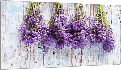 Produktbild von Glas-Herdplattenschutz 90x52 Lavendel