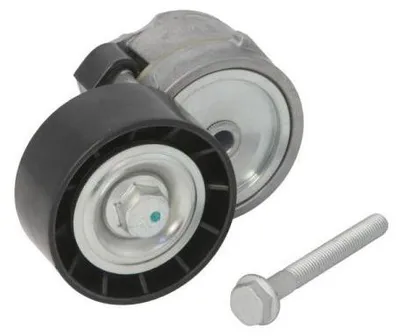 Obrázek produktu pro BTA E3F0009BTA Napínák klínového řemene pro FIAT PUNTO (188) s válečkem Ø 65 mm