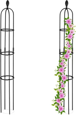 Produktbild von Famanu Pflanzenstütze Set aus 2 Metall und Kunststoff - 160 x 20 cm - schwarze Gartenstützen für Kletterpflanzen