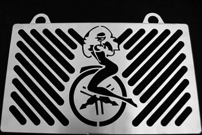 Immagine prodotto di ZIEGER copriradiatore compatibile con Yamaha MT-03 BJ 2006-14 Pinup argento