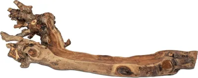 Produktbild von Dekoobjekt, Schale aus Wurzelholz L. 62cm naturbraun Formano