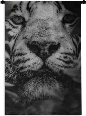 Produktbild von MuchoWow® Wandteppich Wandbehang Nahaufnahme von Blättern und einem weißen Tiger im Dschungel - schwarz-weiß 60x90 cm Tapisserie Dekoration Wandtuch - Foto-Teppich - Abwaschbar