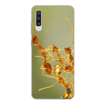 Produktbild von MuchoWow® Handyhülle Schutzhülle Hülle für Samsung Galaxy A70 Ameisen - Orange - Tiere Silikon Softcase Handy Hülle - Schutzhaube