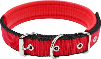 Produktbild von Haustierhalsband, verstellbar, Nylon, Hundehalskreis, langlebiger Haustierhalsgurt mit Traktionsring, Haustierbedarf