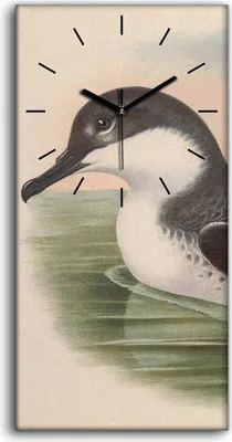 Produktbild von Dekor Leinwand Uhr Wandbilder Geräuschlos 30x60 Vögel Wild Tiere Zeichnung Kunst - schwarze Hände
