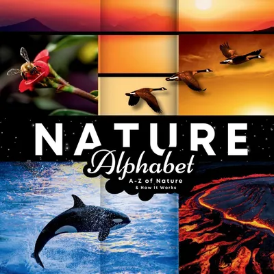 Produktbild von Nature Alphabet