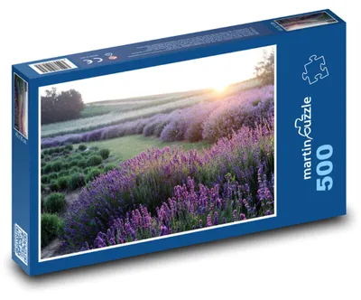 Obrázok produktu pre Puzzle 500 Levanduľové pole pri západe slnka - martinpuzzle