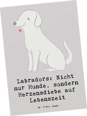 Produktbild von Mr. & Mrs. Panda Postkarte Labrador Herzensdiebe - Grau Pastell - Geschenk, spruchkarte, unvergessliche Erinnerungen, Grußkarte, Postkarten, Hunderassen Pflege, Vielfalt