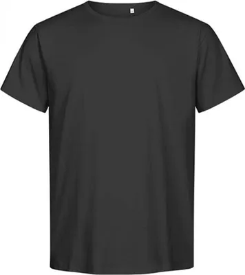 Produktbild von Premium Organic T-Shirt Plus Size Herren, Charcoal, 7XL