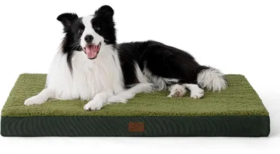 Produktbild von Orthopädisches Hundebett 91x69x8cm Dunkelgrün Waschbar