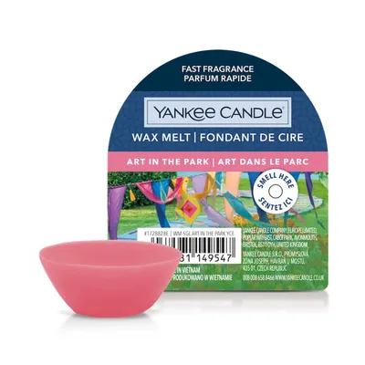 Immagine prodotto di Yankee Candle Art In The Park 22 g