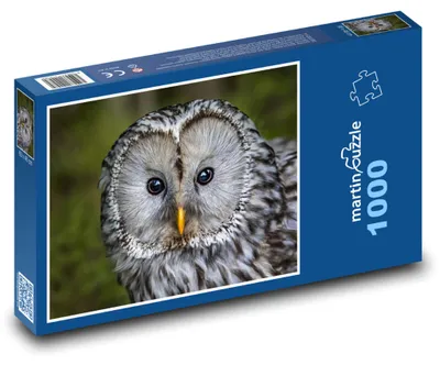 Produktbild von Puzzle 1000 Eule in Waldumgebung - martinpuzzle