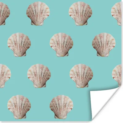 Produktbild von MuchoWow® Poster Muscheln - Muster - Grün - Meer 75x75 cm - Wand Dekoration