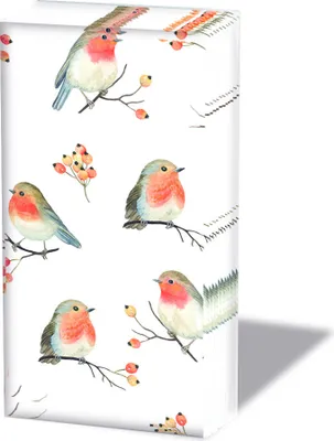 Produktbild von Weihnachten - Taschentücher  21,5 x 22 cm – 4-lagig – á 10 Stück pro