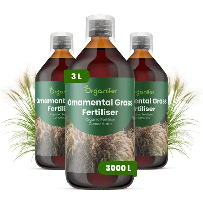 Obrázok produktu pre Hnojivo na okrasné trávy, tekuté, 3x 1 liter – vzorec NPK 2-1-8 – Vhodné pre okrasné trávy – Podporuje silný rast listov a zdravý vývoj – Organifer