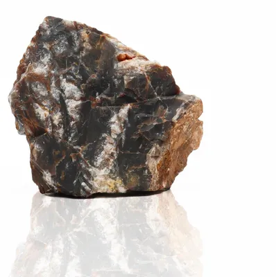 Image de Amtra, roche pétrifiée, taille moyenne, 720 grammes