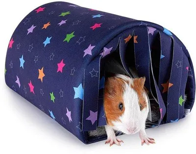 Productafbeelding van Unyqoos® Knuffeltunnel voor konijnen – wasbare slaapholte, 30 x 20 x 18 cm, met matje van 30 x 19 cm, zachte stof en schuimvulling, geschikt voor kleine dieren en reptielen