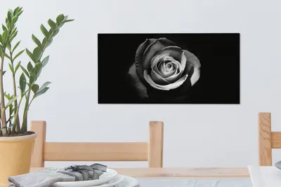 Produktbild von MuchoWow® - Leinwandbilder - Blumen - Schwarz - Rose - Weiß - Botanisch, Wandbild, Wanddeko Bilder Wohnzimmer, 40x20 cm