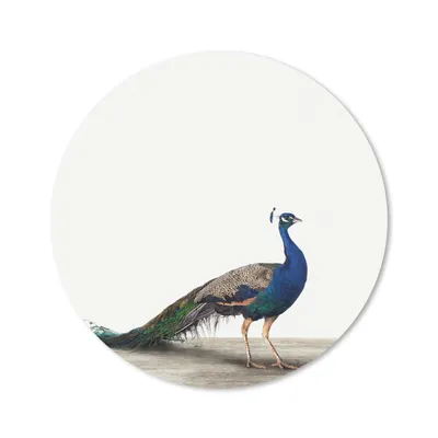 Produktbild von MuchoWow® Mauspad Mousepad Tiere - Pfau - Weiß 20x20 cm - Mousepads - Maus Mat - Pad - Mausunterlage - Schreibtischmatte
