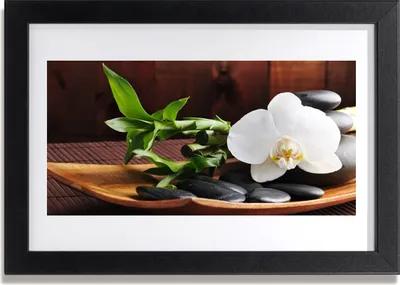 Produktbild von Bild 30x20 MDF-Rahmen Wandkunst Bambus Zen White Orchid