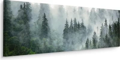 Obrázek produktu pro Obraz na plátně LAS WE MGLE Krajina Panorama 145x45cm