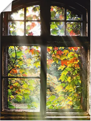 Produktbild von ARTland Poster Altbau Größe: 45x60 cm
