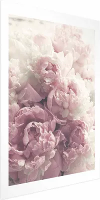 Produktbild von Posterpapier Poster - Delicate Peonies 40x60 cm Blumen b-B-0467-ao-a