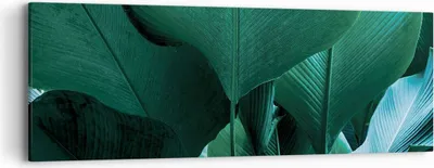 Produktbild von Bild auf Leinwand - Leinwandbild - Einteilig - Blätter Palmen Banane - 90x30cm - Wand Bild - Wanddeko - Wandbilder - Leinwanddruck - Bilder - Wanddekoration - Leinwand bilder - Wandbild - AB90x30-4694