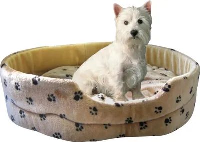 Produktbild von Silvio Design Hundebett Silvio L