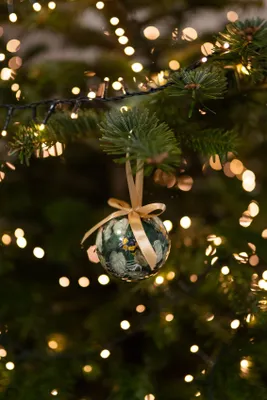 A close-up of a Christmas ornament hanging on a Christmas tree, surrounded by fairy lights.