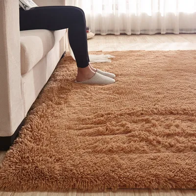 Obrázek produktu pro CANDeal Koberce Chlupaté koberce do obývacího pokoje Chlupaté koberce Koberec do ložnice Omyvatelné měkké koberce Pohodlné pro domácí dekoraci (Káva, 80 x 120 cm)