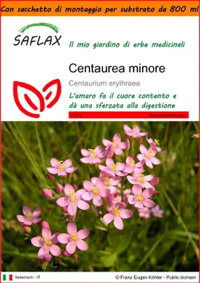 Immagine prodotto di SAFLAX Garden in the bag - Centaurea minore - 250 semi - Centaurium