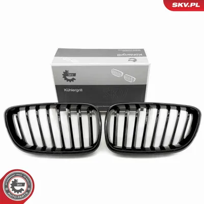 Immagine prodotto di ESEN SKV 66SKV029 Griglia anteriore per BMW Serie 2 Coupé (F22, F87) Nero lucido