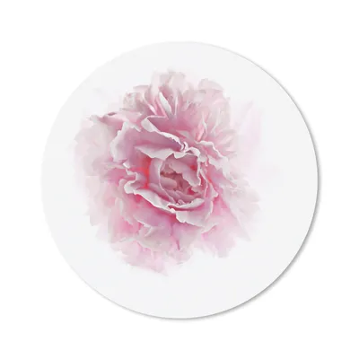 Produktbild von MuchoWow® Mauspad Mousepad Draufsicht auf eine rosa Pfingstrose mit weißem Hintergrund 30x30 cm - Mousepads - Maus Mat - Pad - Mausunterlage - Tischunterlage - Schreibtischmatten