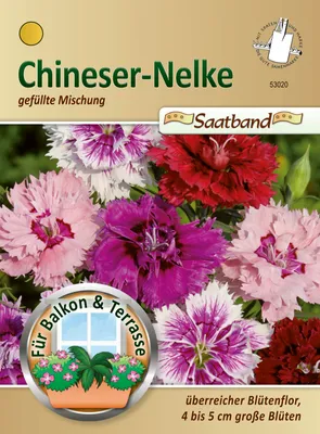 Artikelbild 1 von '[STREICHUNG 2026] Dianthus gefüllte Mischung (Saatband)'