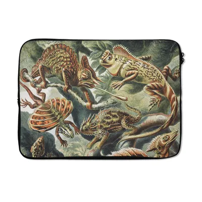 Produktbild von MuchoWow® Laptop Hülle 13 Zoll Jahrgang - Kunst - Ernst Haeckel - Salamander - Tiere Laptoptasche - Laptophülle - Sleeve - Rundumschutz