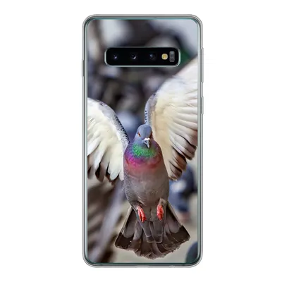 Produktbild von MuchoWow® Handyhülle Schutzhülle Hülle für Samsung Galaxy S10 Nahaufnahme einer fliegenden Taube Silikon Softcase Handy Hülle - Handytasche