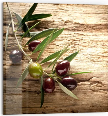 Produktbild von DEQORI Küchenrückwand Glas 60x60 cm 'Dekorativer Olivenzweig' Spritzschutz Bad Rückwand