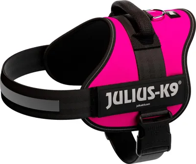 Obrázok produktu pre Julius-K9® Powerharness®, veľkosť 0-3 71-96 cm/50 mm fuchsiová