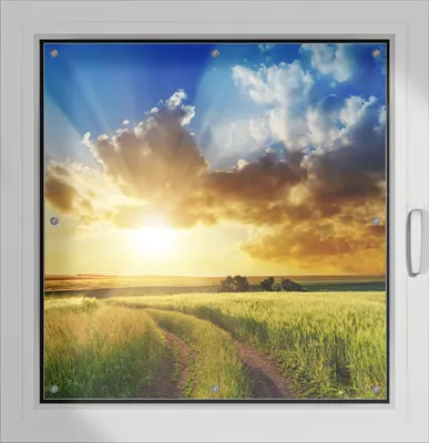 Produktbild von Wallario Lichtschutzbild, Dekorativer Sichtschutz Sonnenschutz 96 x 93 cm mit Motiv: Feldweg in den Sonnenuntergang - Verdunklung ohne Bohren
