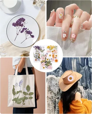 Productafbeelding van Famanu Set met gedroogde, geperste bloemen - 66 stuks voor creatieve doe-het-zelf projecten