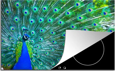 Produktbild von KitchenYeah© Herdabdeckplatte Pfau - Blau - Tiere , 80x52cm, Küche Deko, Glaskeramikkochfeld Herdabdeckung, Abdeckplatte fùr Kochfeld