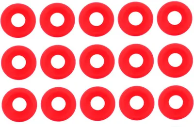 Image de 25 joints en silicone rouge de Grolsch pour les bouteilles à fermeture à étrier, les bouteilles de bière brassées à domicile