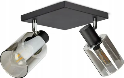 Produktbild von LUXOLAR - LED Deckenleuchte 2 flammig Schwarz E27 60 W - Deckenlampe Schwenkbar für Wohnzimmer, Küchen - Klassisches Design