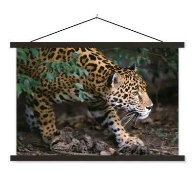 Produktbild von MuchoWow® Textilposter Schleichender Jaguar im Wald 120x80 cm mit schwarzem Rahmen - Wanddeko